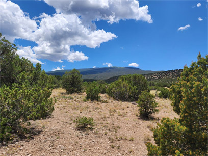 Placitas Realty - Land and Homes for Sale in Placitas, Rio Rancho ...